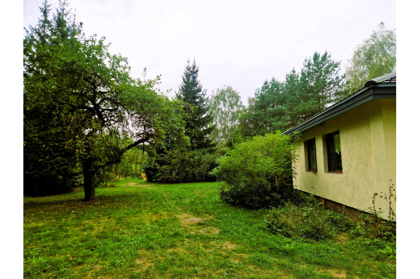 grodziski, Jaktorów, Budy Michałowskie, Przepiękna Posiadłość ok.17000m2. Piękna Okolica