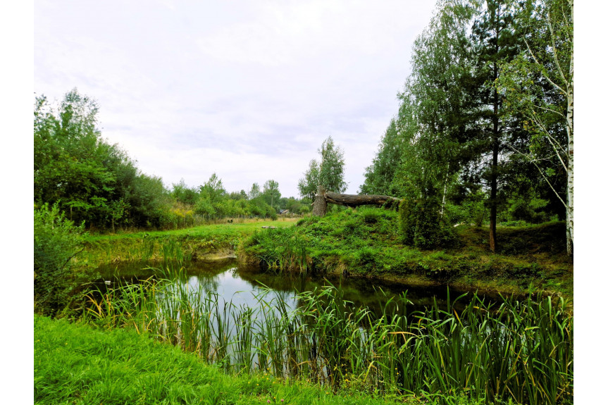 grodziski, Jaktorów, Budy Michałowskie, Przepiękna Posiadłość ok.17000m2. Piękna Okolica