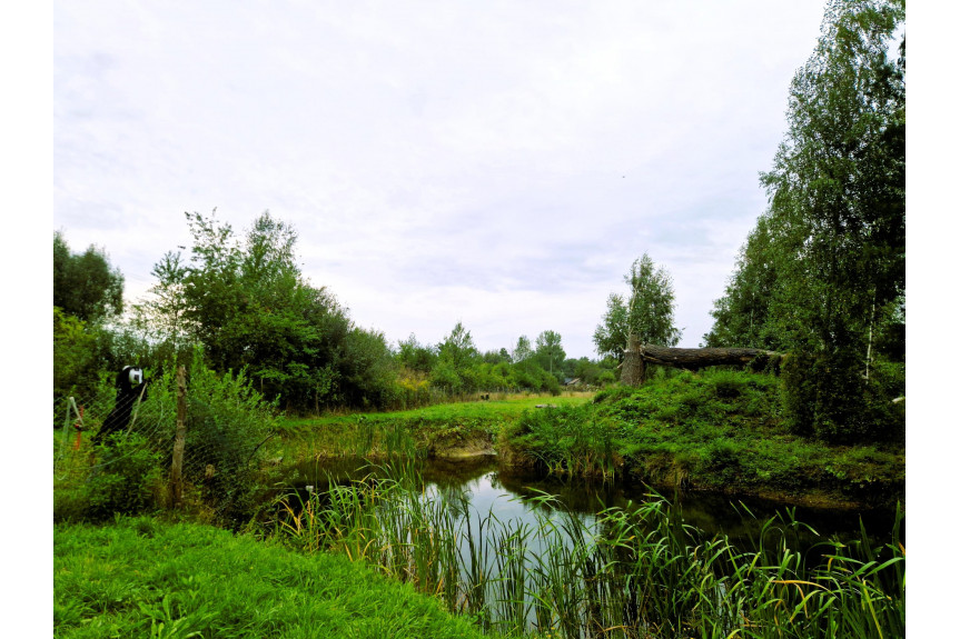 grodziski, Jaktorów, Budy Michałowskie, Przepiękna Posiadłość ok.17000m2. Piękna Okolica